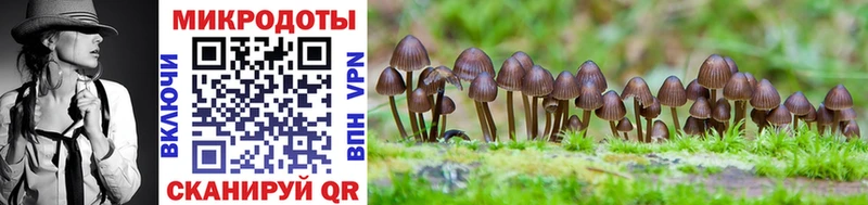 Галлюциногенные грибы Psilocybe  как найти закладки  Малмыж 